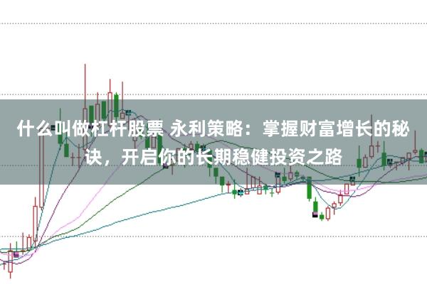什么叫做杠杆股票 永利策略：掌握财富增长的秘诀，开启你的长期稳健投资之路