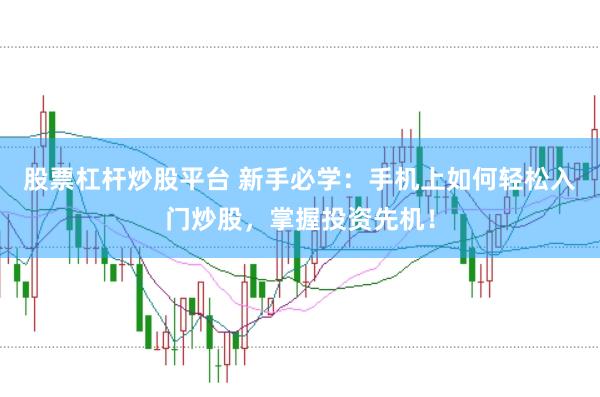 股票杠杆炒股平台 新手必学：手机上如何轻松入门炒股，掌握投资先机！
