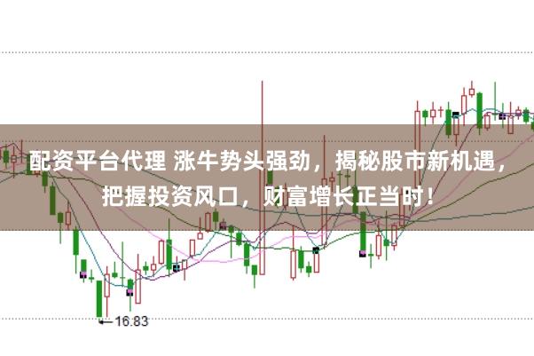 配资平台代理 涨牛势头强劲，揭秘股市新机遇，把握投资风口，财富增长正当时！