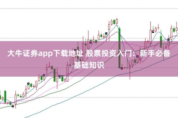 大牛证券app下载地址 股票投资入门：新手必备基础知识