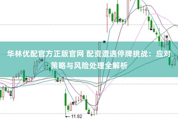 华林优配官方正版官网 配资遭遇停牌挑战：应对策略与风险处理全解析