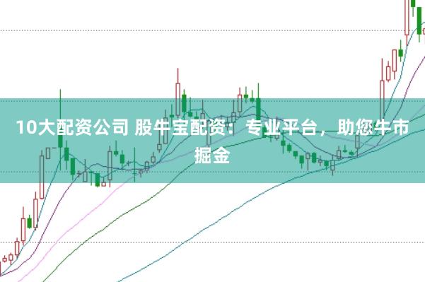 10大配资公司 股牛宝配资：专业平台，助您牛市掘金