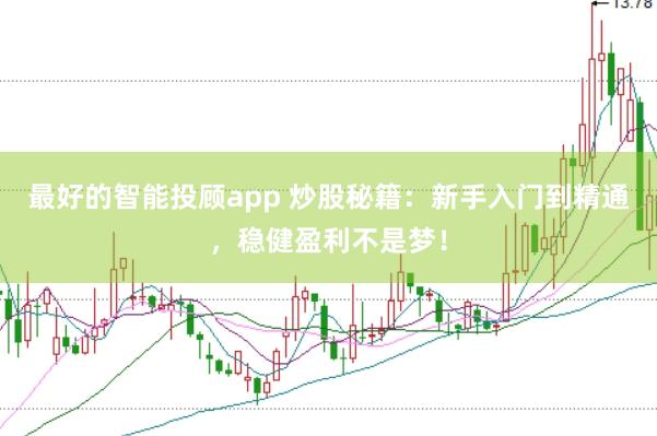 最好的智能投顾app 炒股秘籍：新手入门到精通，稳健盈利不是梦！