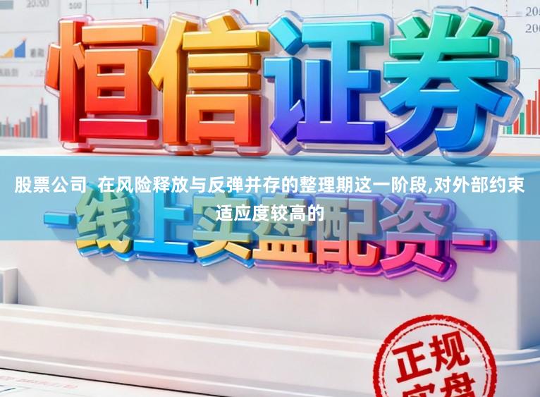 股票公司  在风险释放与反弹并存的整理期这一阶段,对外部约束适应度较高的