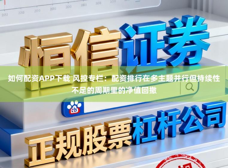 如何配资APP下载 风控专栏：配资排行在多主题并行但持续性不足的周期里的净值回撤