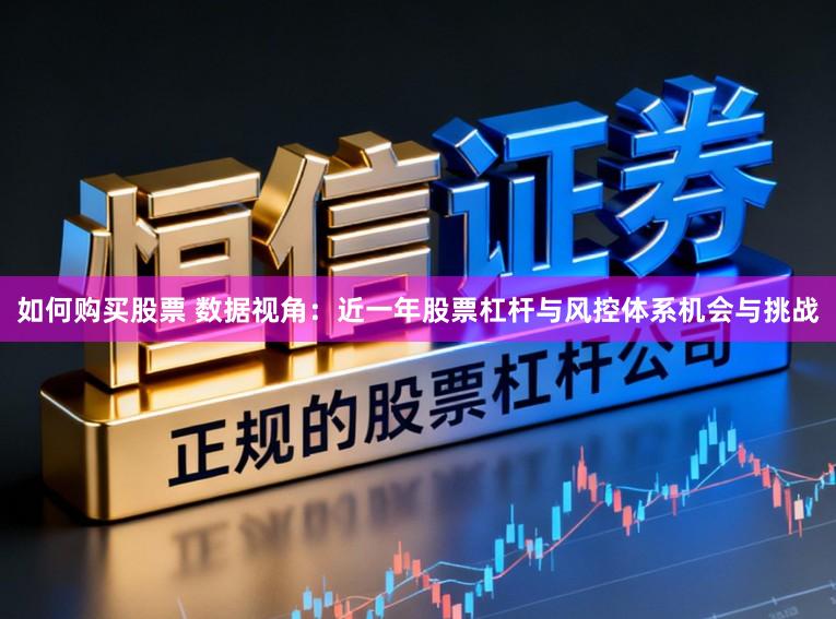 如何购买股票 数据视角：近一年股票杠杆与风控体系机会与挑战