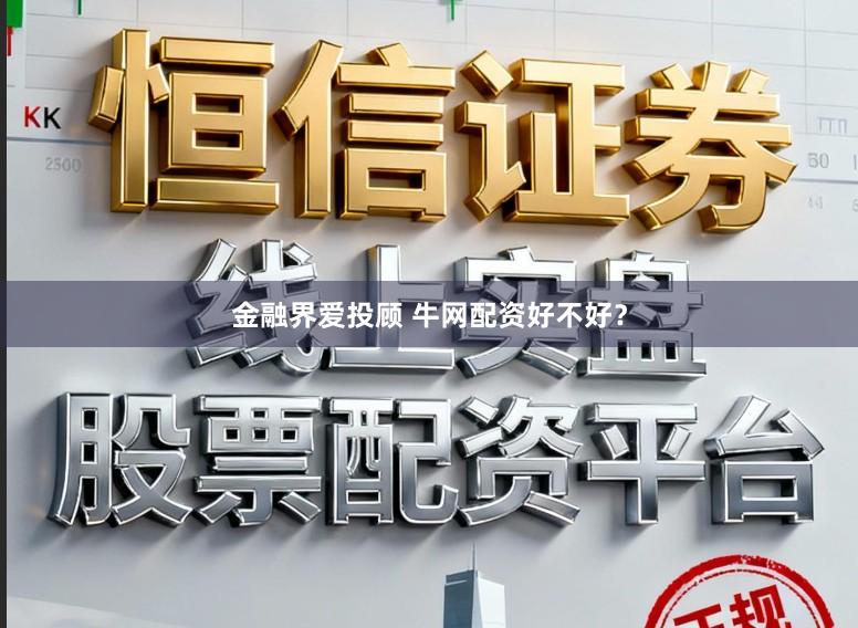 金融界爱投顾 牛网配资好不好？